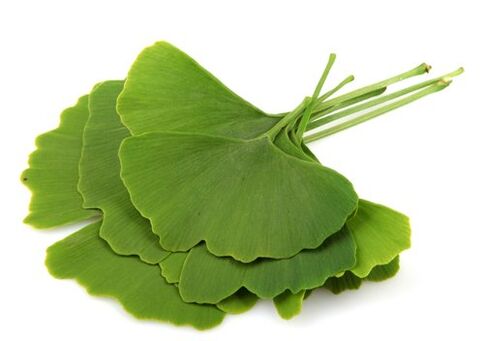 Το Varicone περιέχει gingko biloba